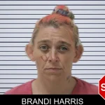 Brandi Harris mugshot