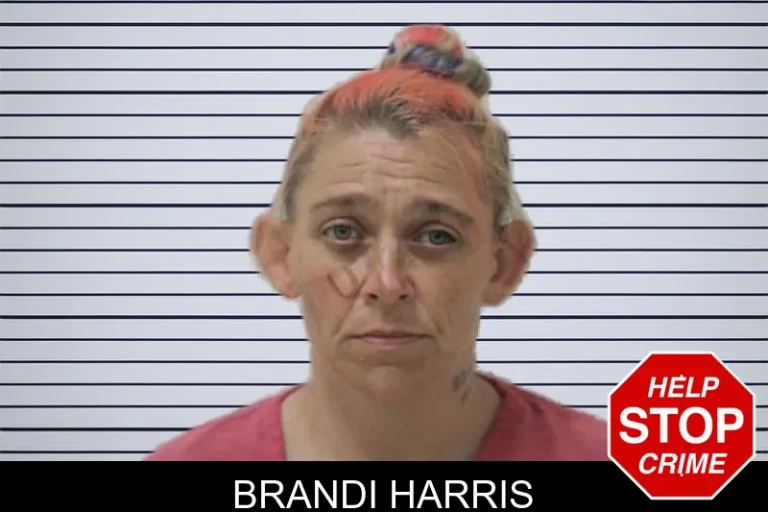 Brandi Harris