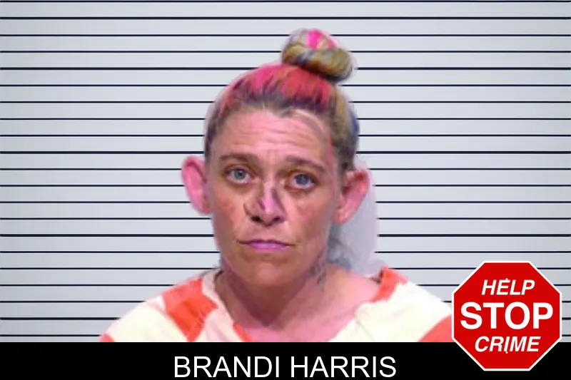 Brandi Harris mugshot