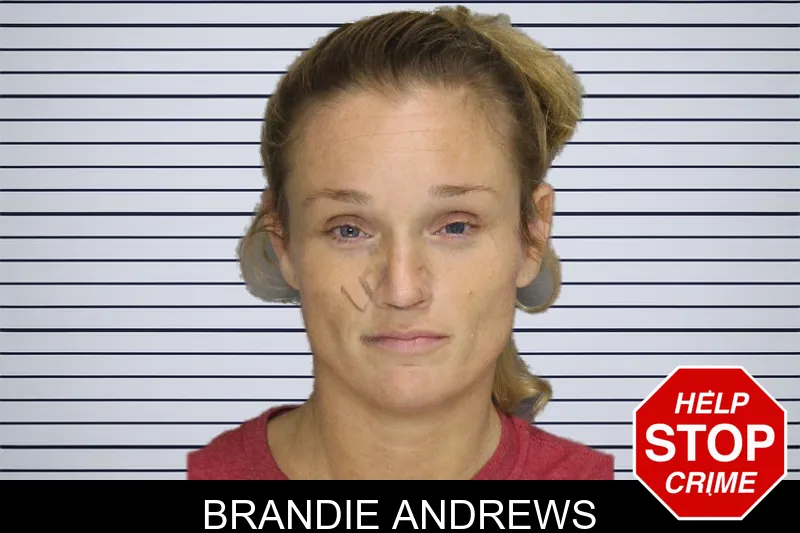 Brandie Andrews mugshot