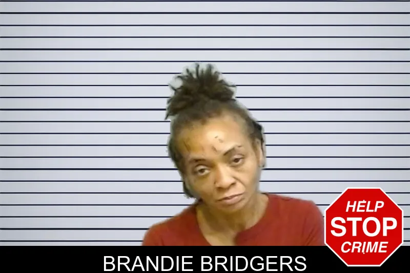 Brandie Bridgers mugshot