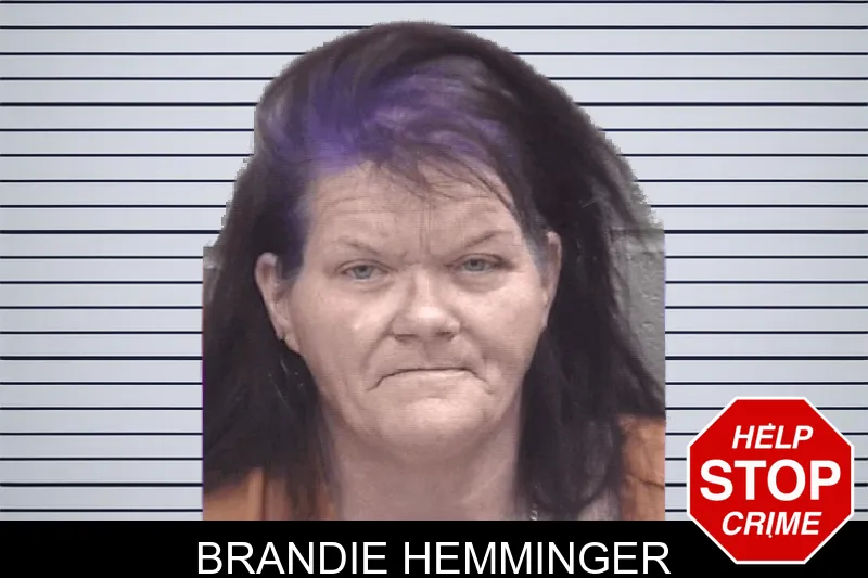 Brandie Hemminger mugshot