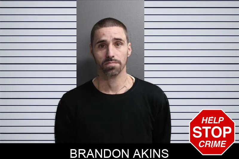 Brandon Akins mugshot