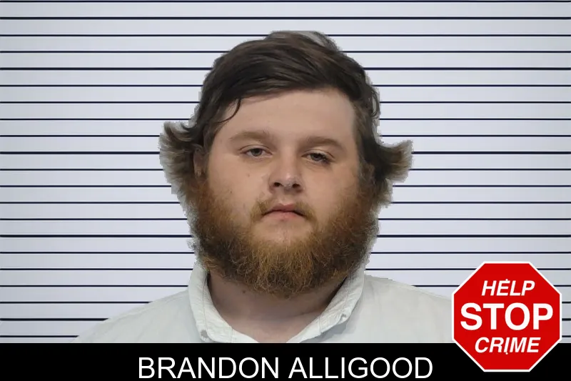 Brandon Alligood mugshot
