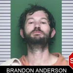 Brandon Anderson mugshot