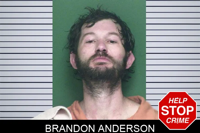 Brandon Anderson mugshot