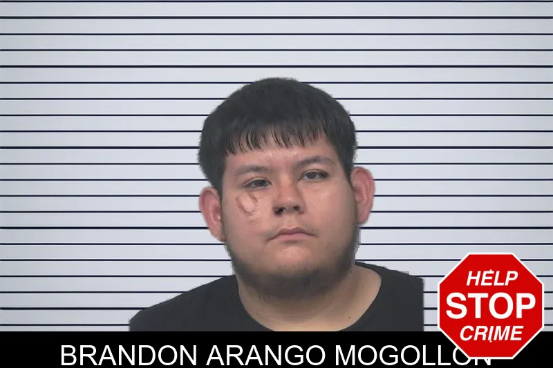 Brandon Arango Mogollon mugshot