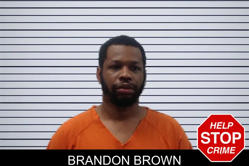 Brandon Brown mugshot
