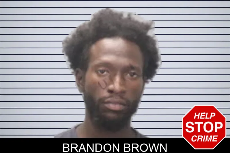 Brandon Brown mugshot