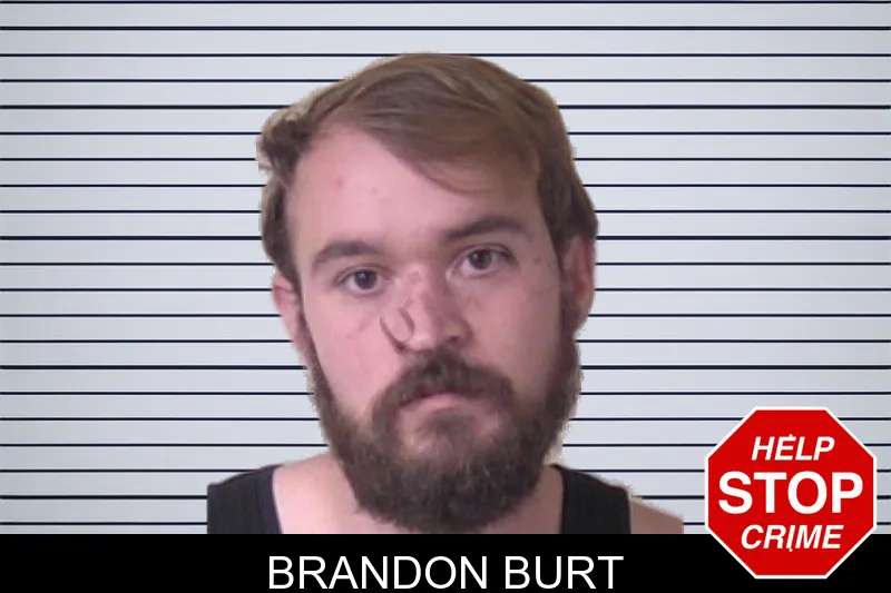Brandon Burt mugshot