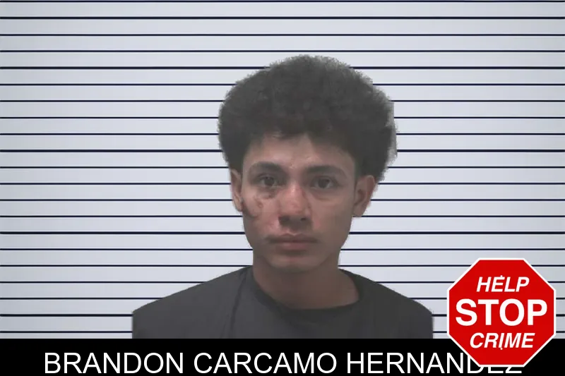 Brandon Carcamo Hernandez mugshot