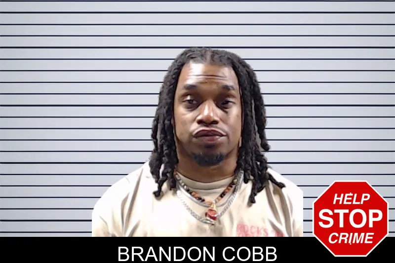 Brandon Cobb mugshot