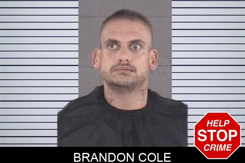 Brandon Cole mugshot