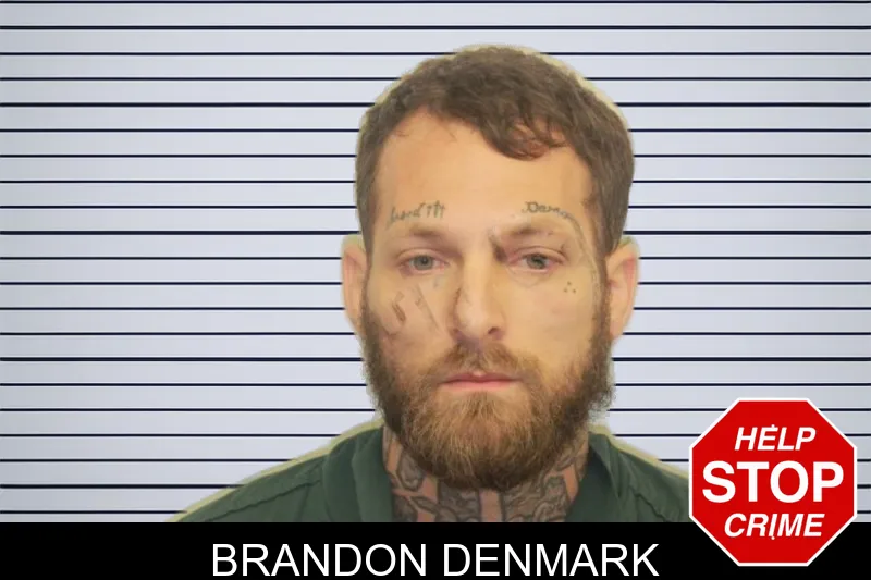 Brandon Denmark mugshot