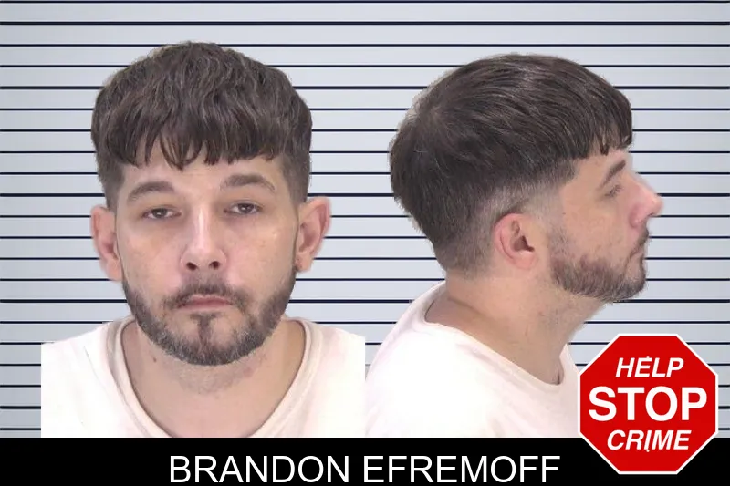 Brandon Efremoff mugshot