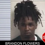Brandon Flowers mugshot