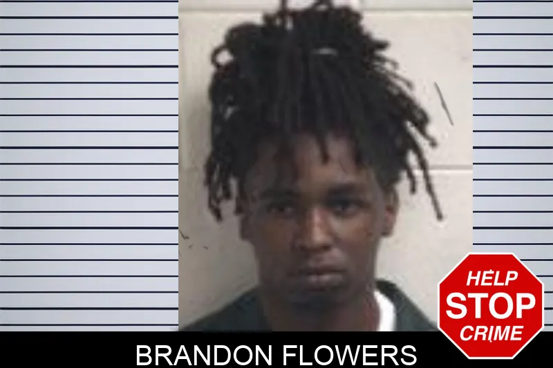 Brandon Flowers mugshot
