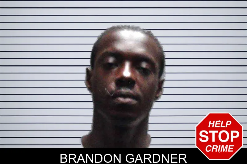 Brandon Gardner mugshot