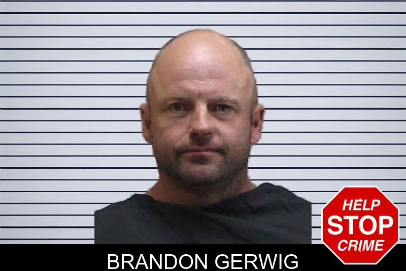 Brandon Gerwig mugshot