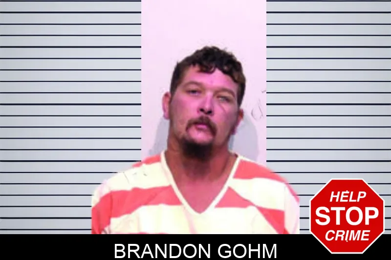Brandon Gohm mugshot – Bartow County , Georgia Brandon Gohm mugshot