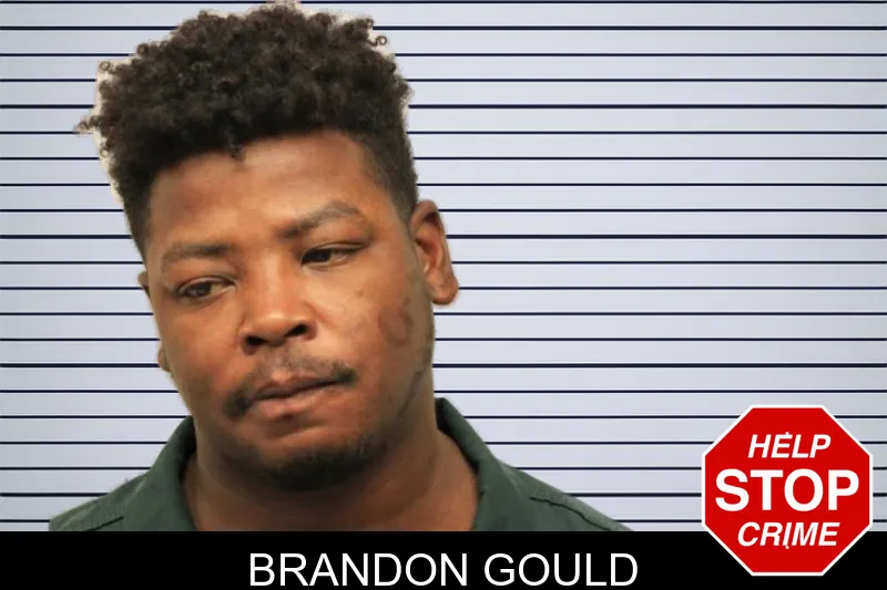 Brandon Gould mugshot
