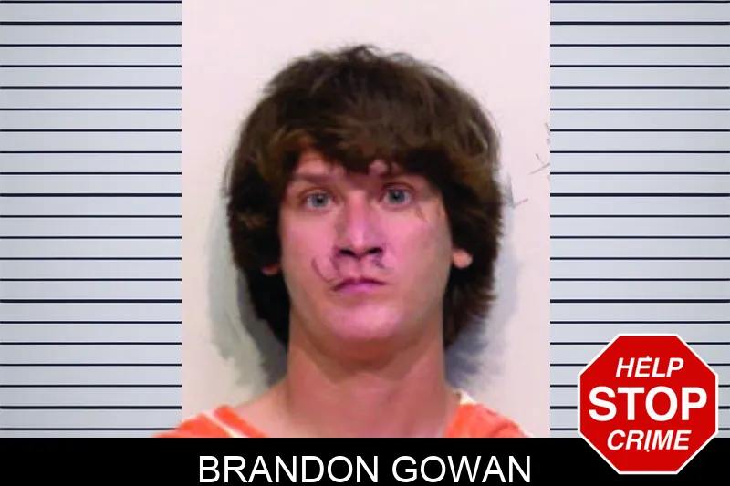 Brandon Gowan mugshot