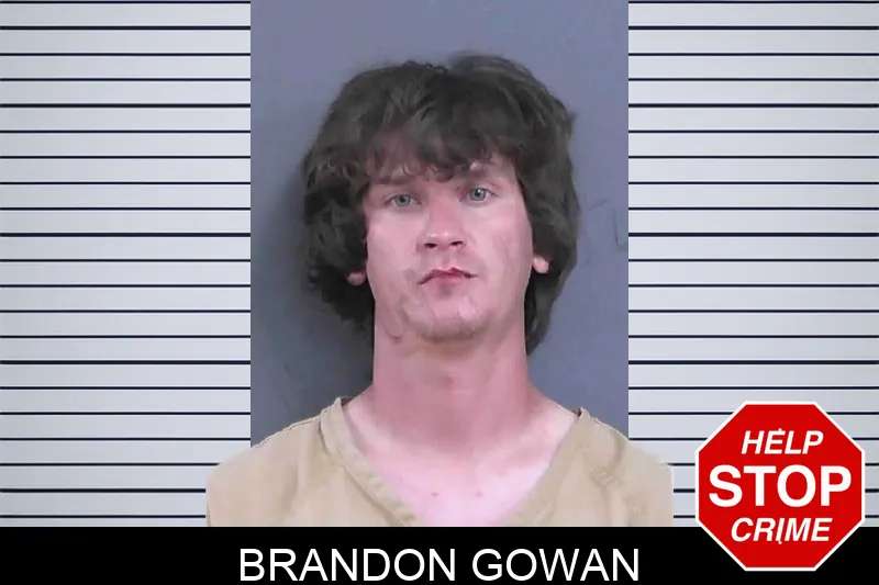 Brandon Gowan mugshot