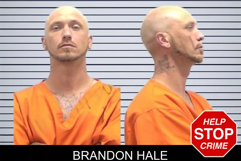 Brandon Hale mugshot