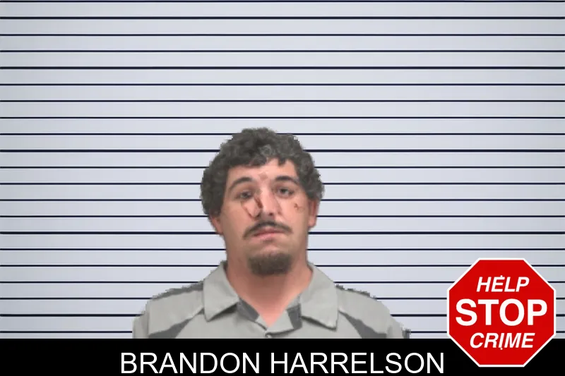 Brandon Harrelson mugshot