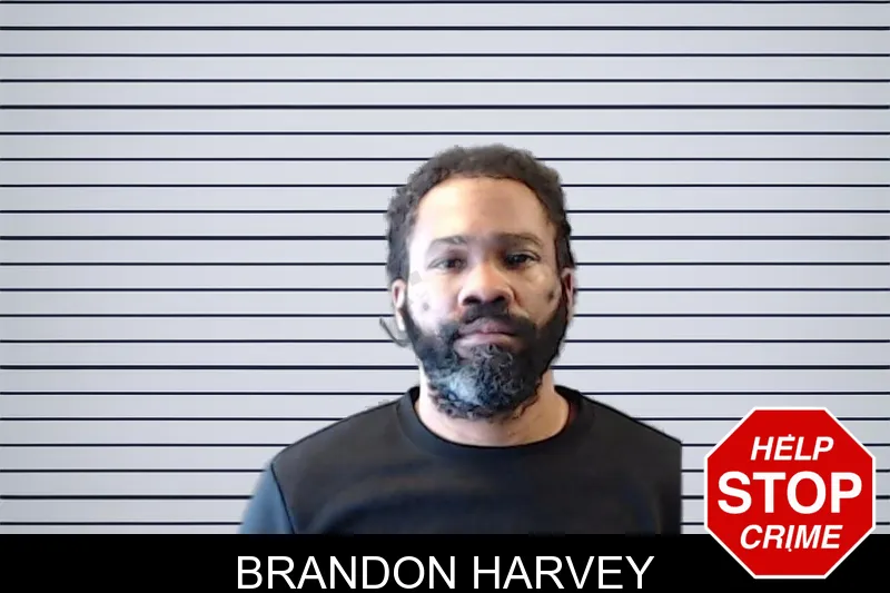 Brandon Harvey mugshot