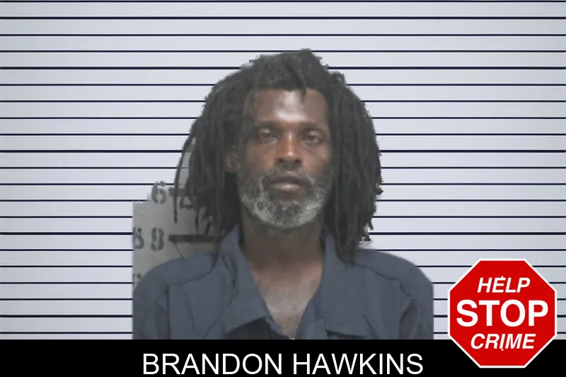 Brandon Hawkins mugshot