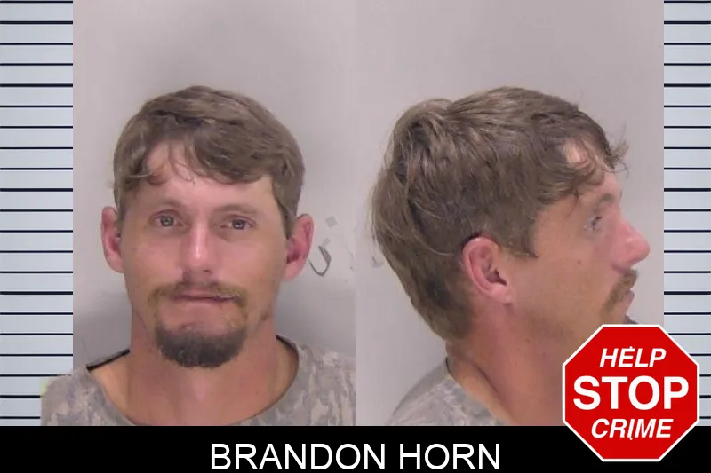 Brandon Horn mugshot