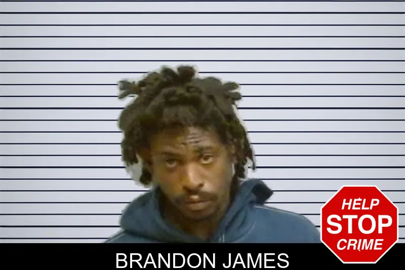 Brandon James mugshot