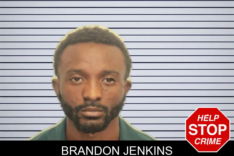Brandon Jenkins mugshot – Chatham County , Georgia Brandon Jenkins mugshot