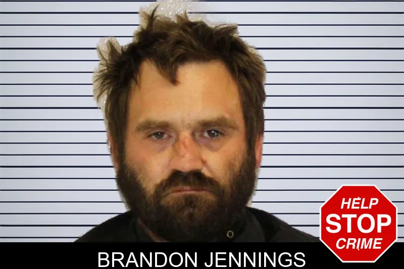 Brandon Jennings mugshot