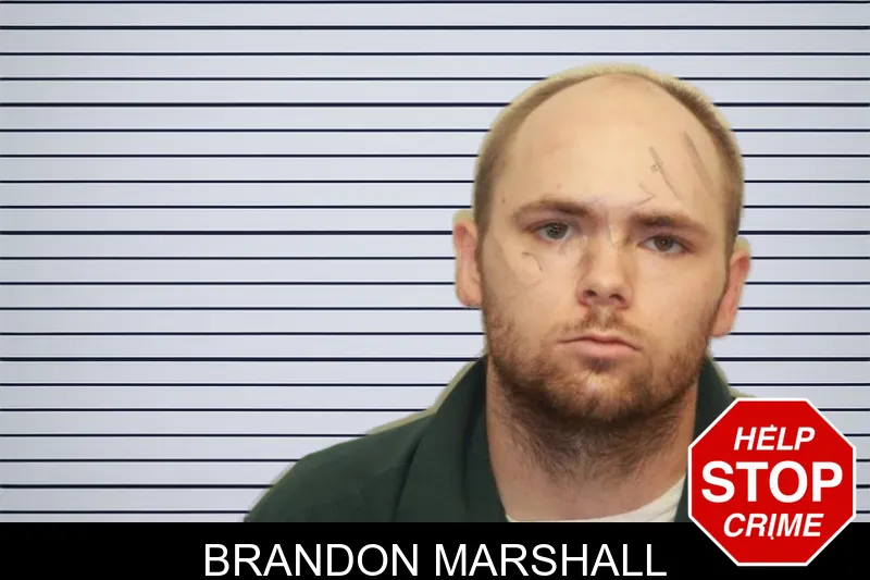 Brandon Marshall mugshot