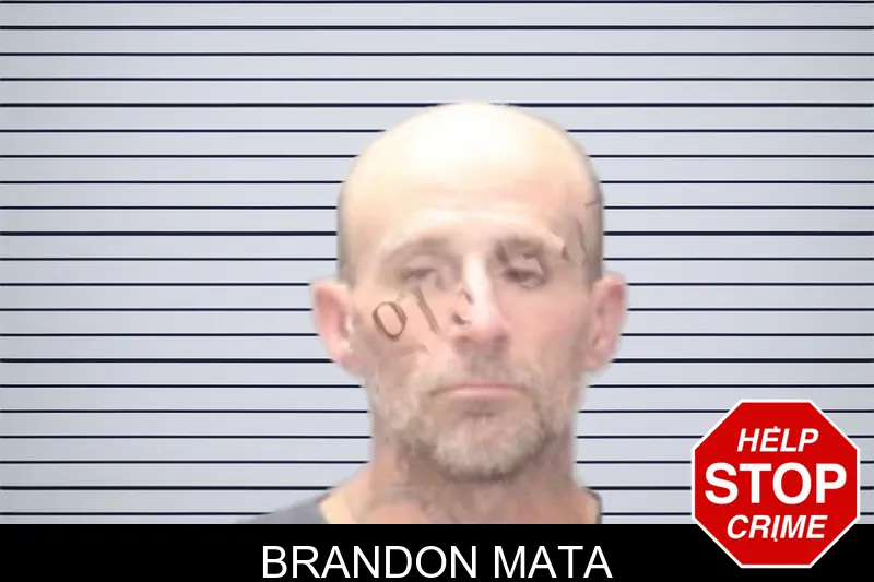 Brandon Mata mugshot