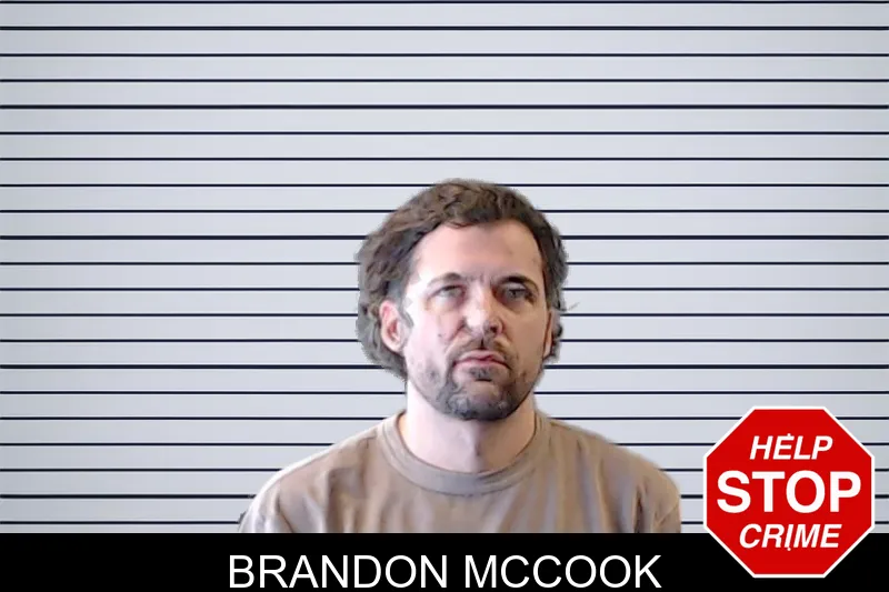 Brandon McCook mugshot