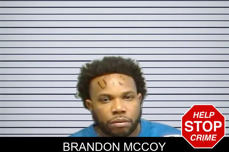 Brandon McCoy mugshot