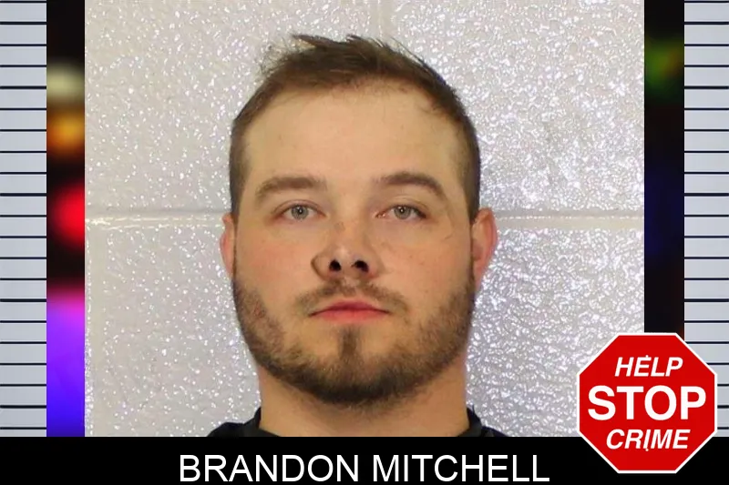 Brandon Mitchell mugshot