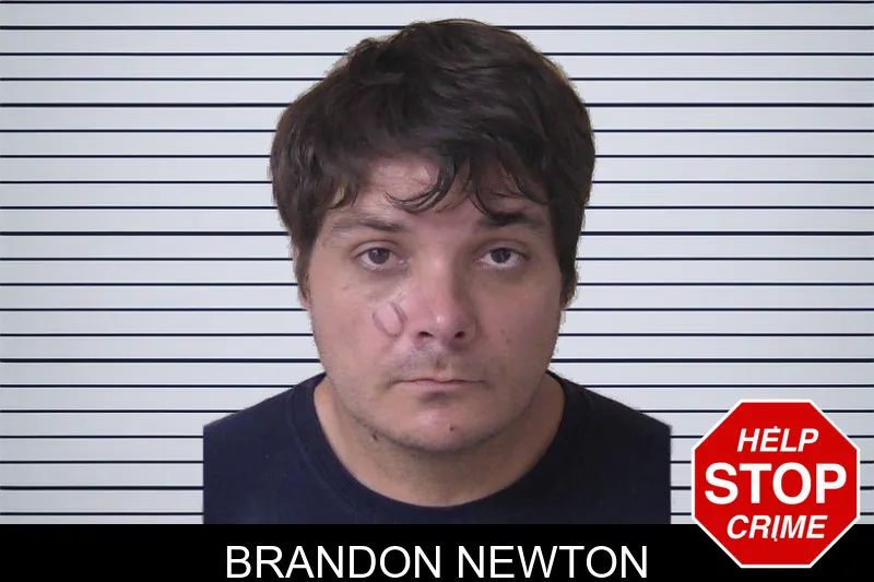 Brandon Newton mugshot