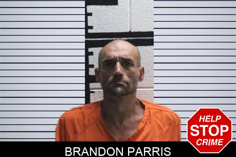 Brandon Parris mugshot