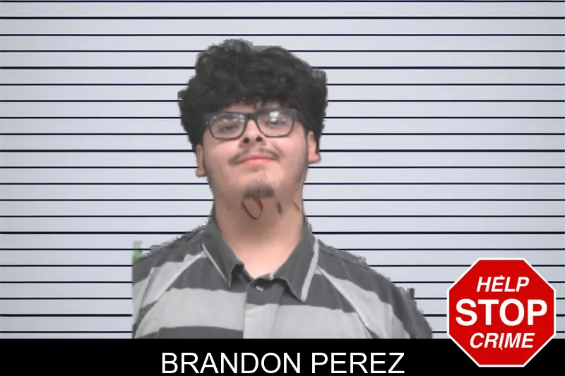 Brandon Perez mugshot