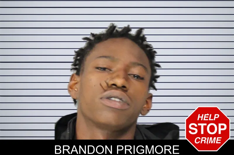 Brandon Prigmore mugshot