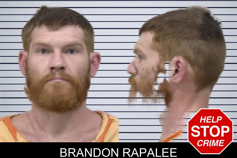 Brandon Rapalee mugshot