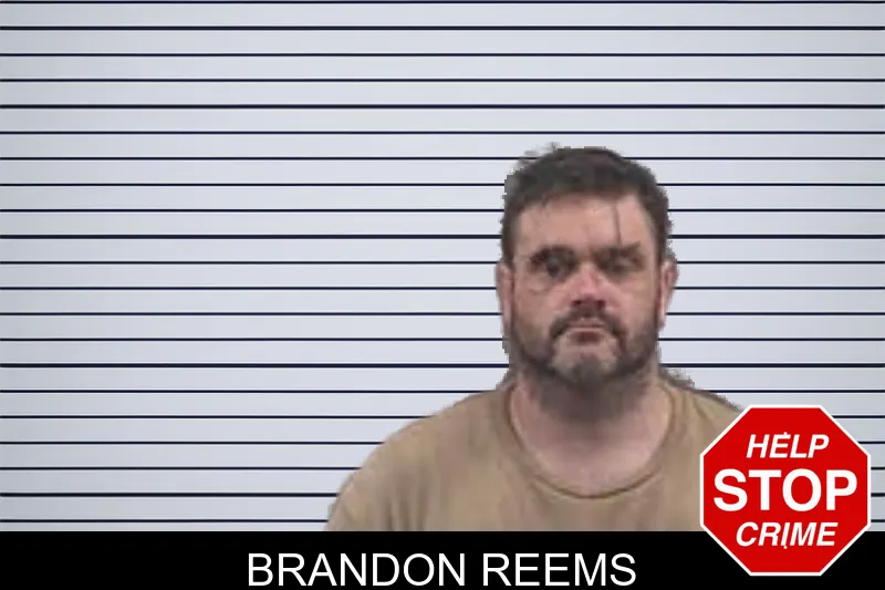 Brandon Reems mugshot