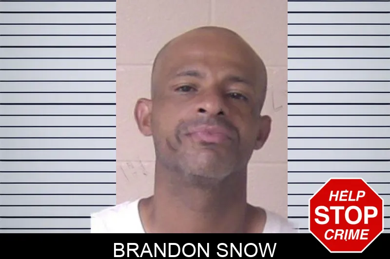 Brandon Snow mugshot