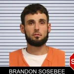 Brandon Sosebee mugshot