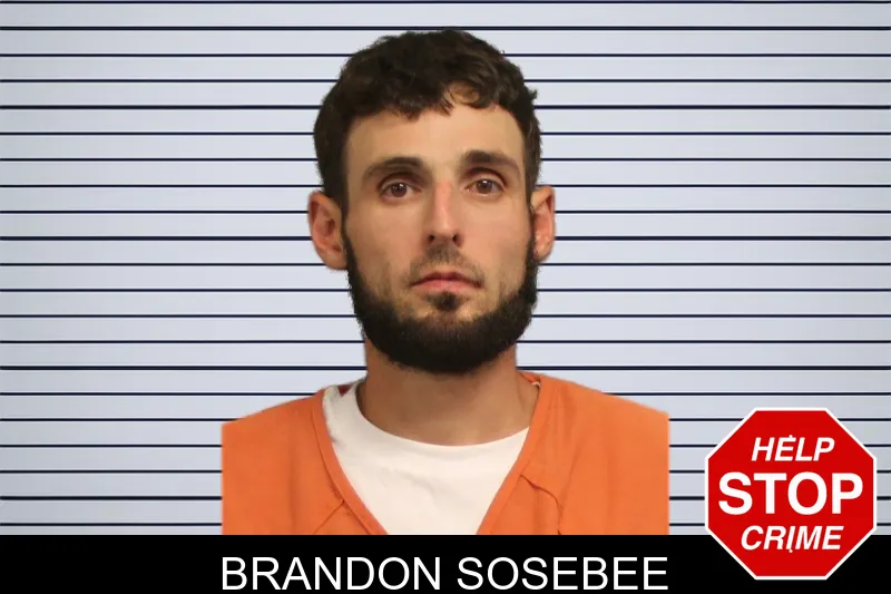 Brandon Sosebee mugshot
