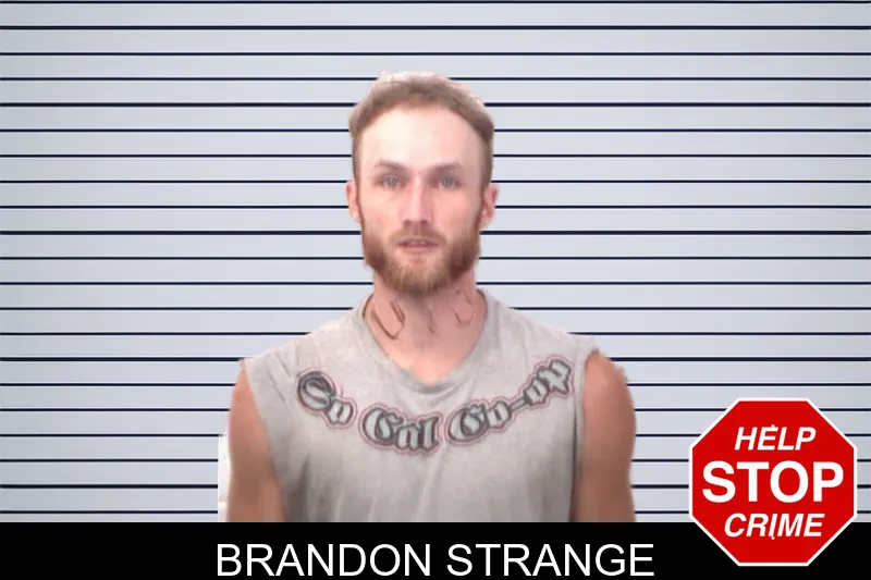 Brandon Strange mugshot